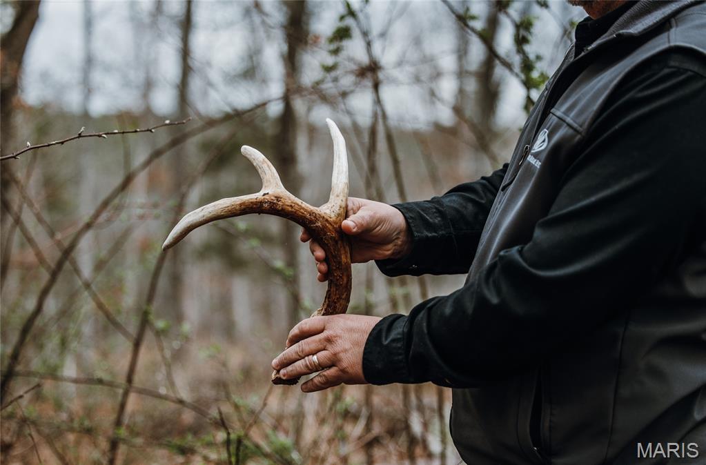 First slide