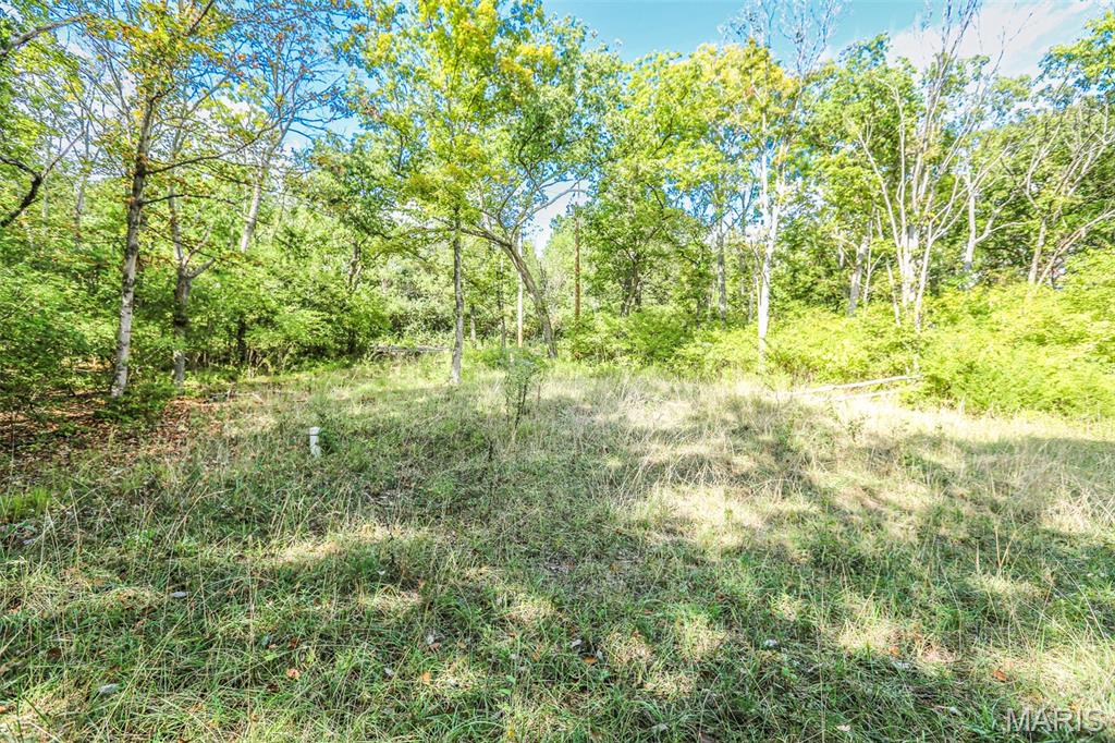 First slide