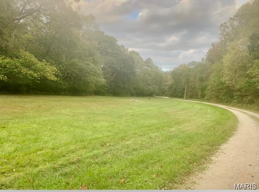 First slide