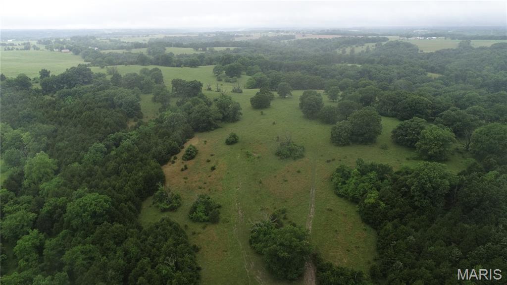 First slide