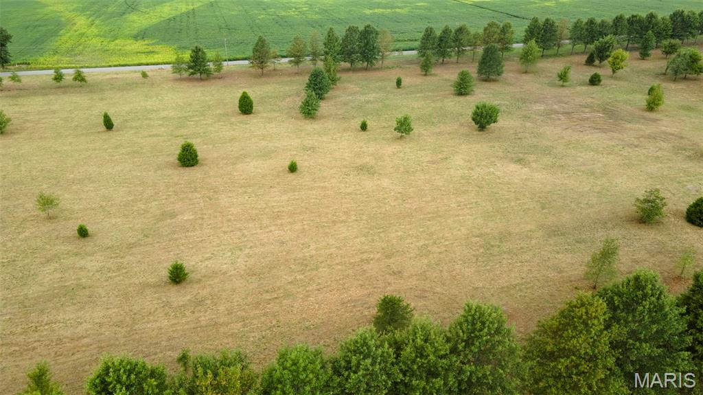 First slide
