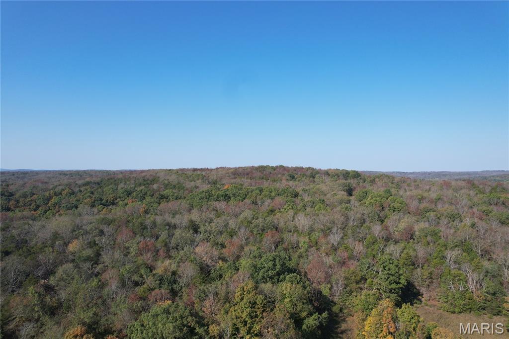 First slide