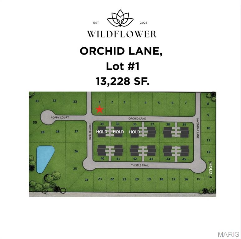 1209 Orchid Lane, Litchfield, IL, 62056
