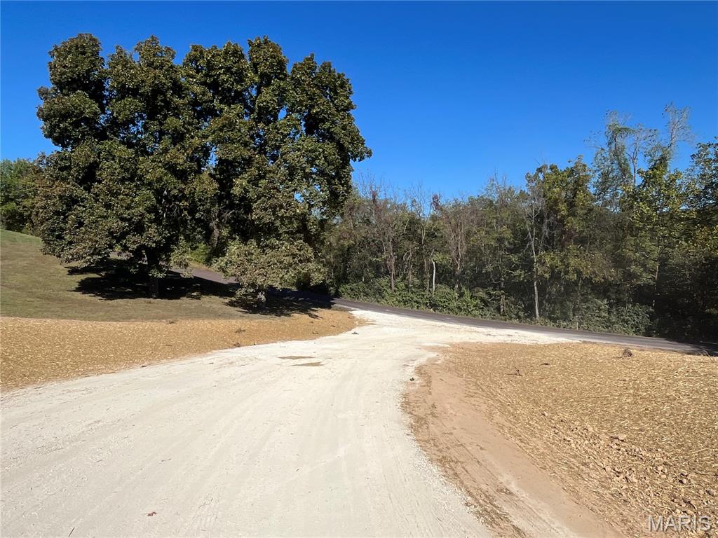 First slide