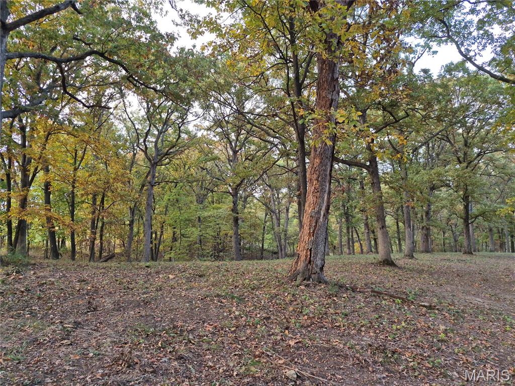 First slide
