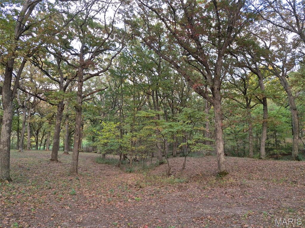 First slide
