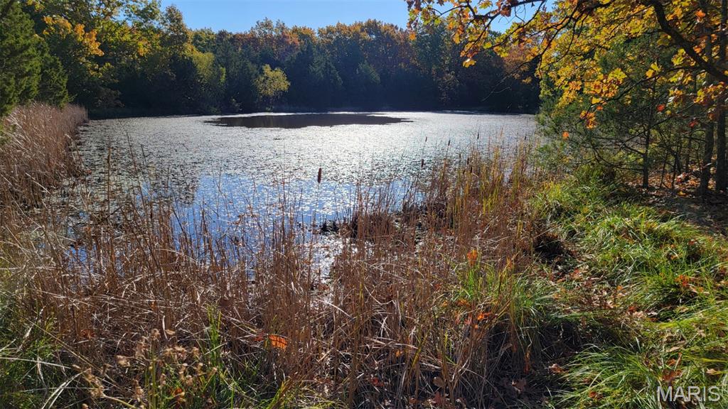 0 HWY 42, Unincorporated, MO, 65013