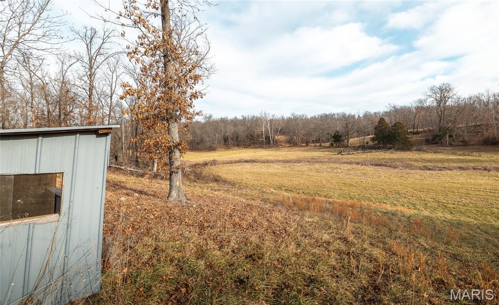 First slide