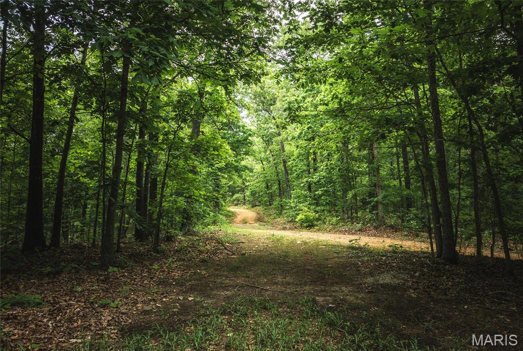 First slide