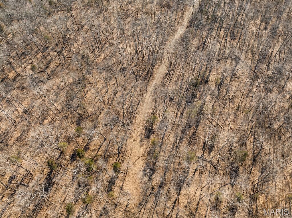 First slide