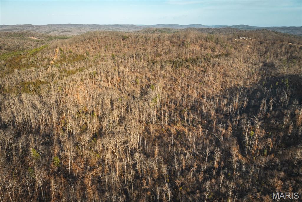 First slide