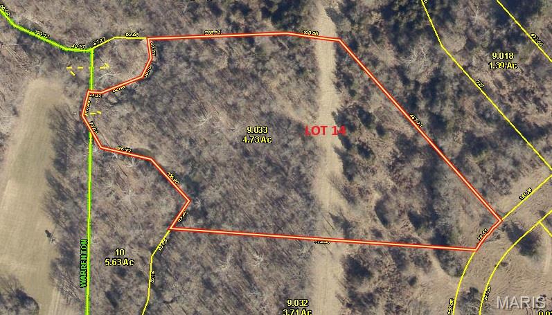 First slide