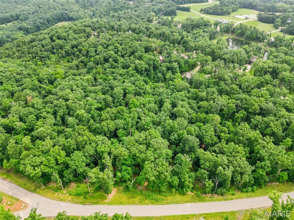 First slide