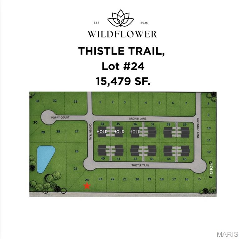 1208 Thistle Trail, Litchfield, IL, 62056