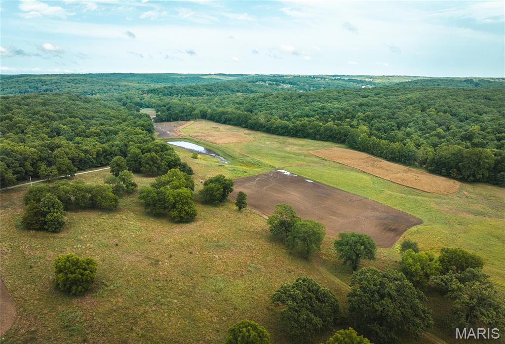 First slide