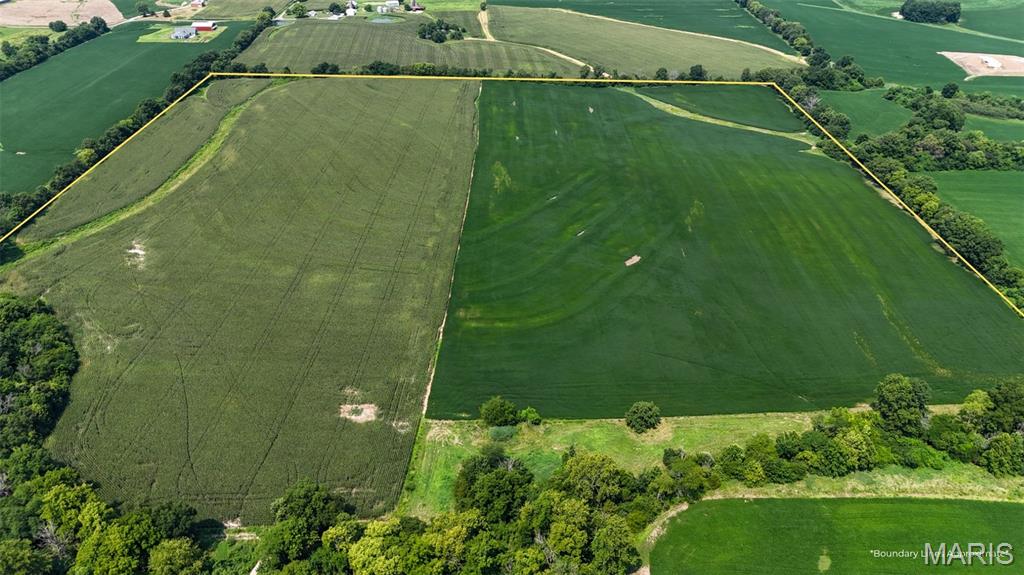First slide