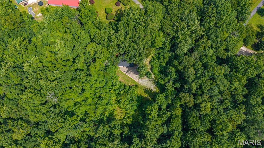First slide