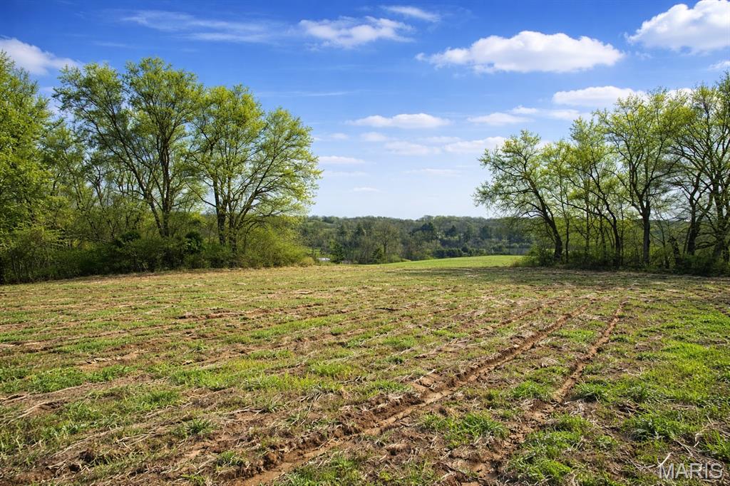 First slide