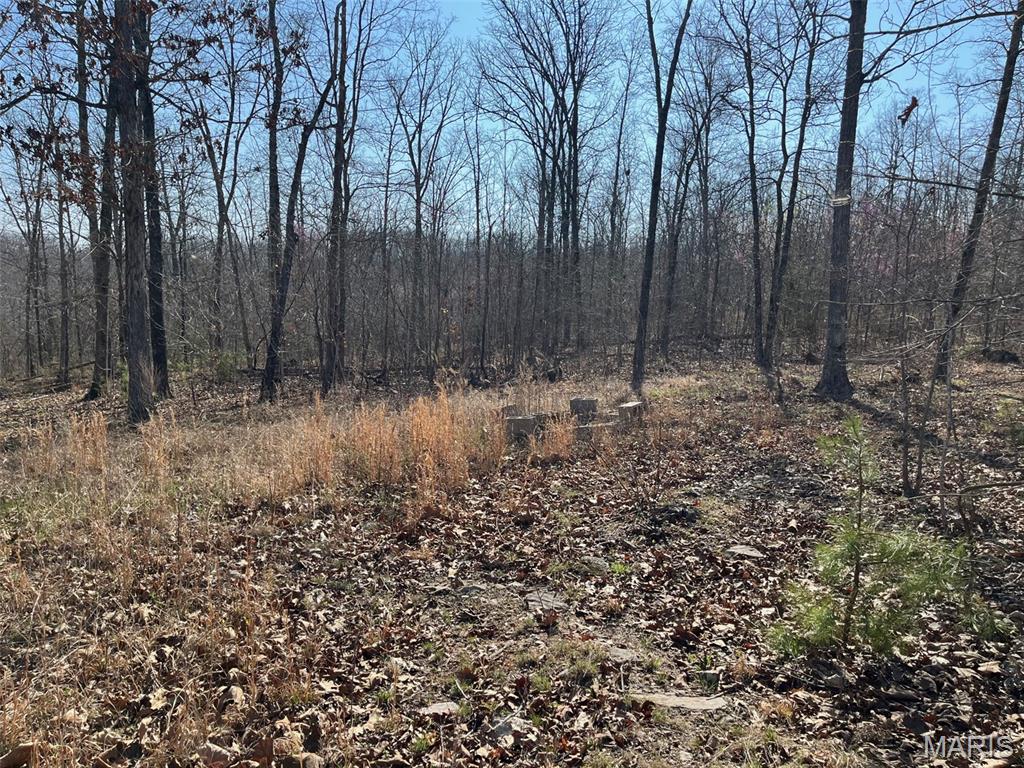 First slide