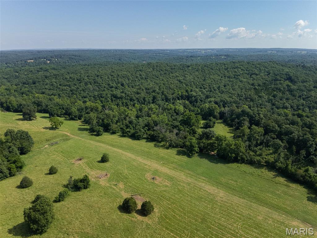 First slide