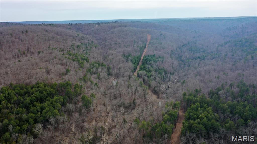 First slide