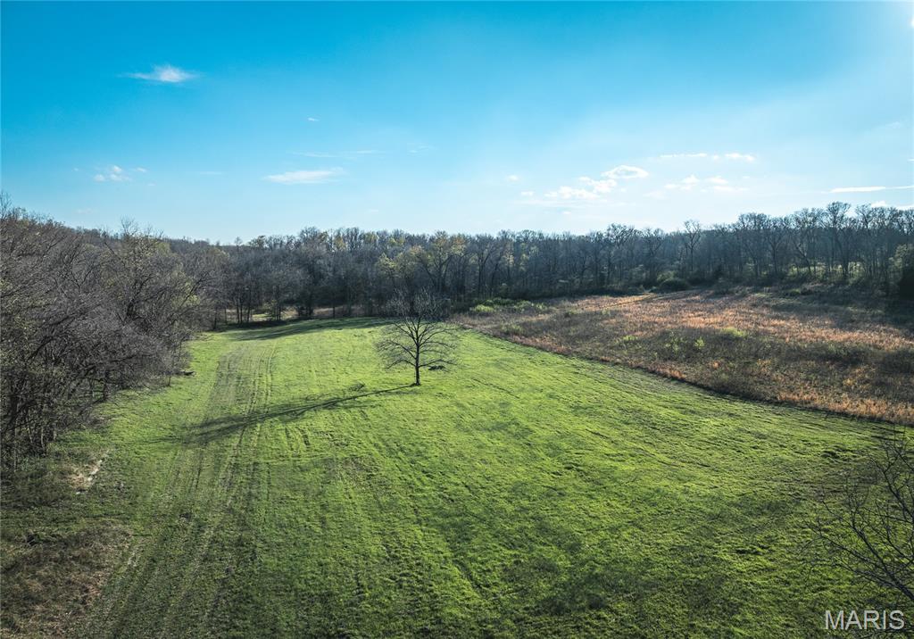 First slide