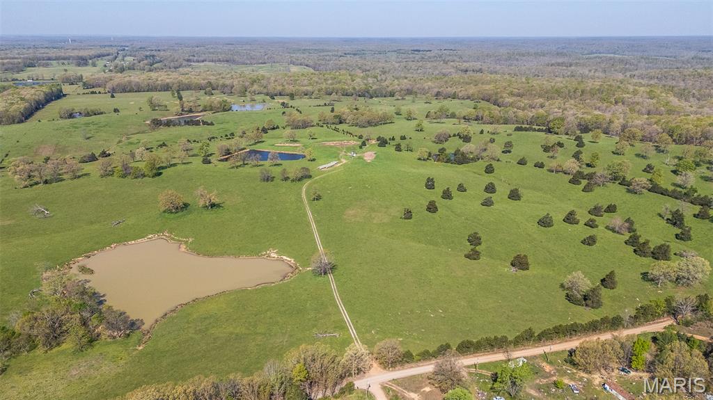 First slide