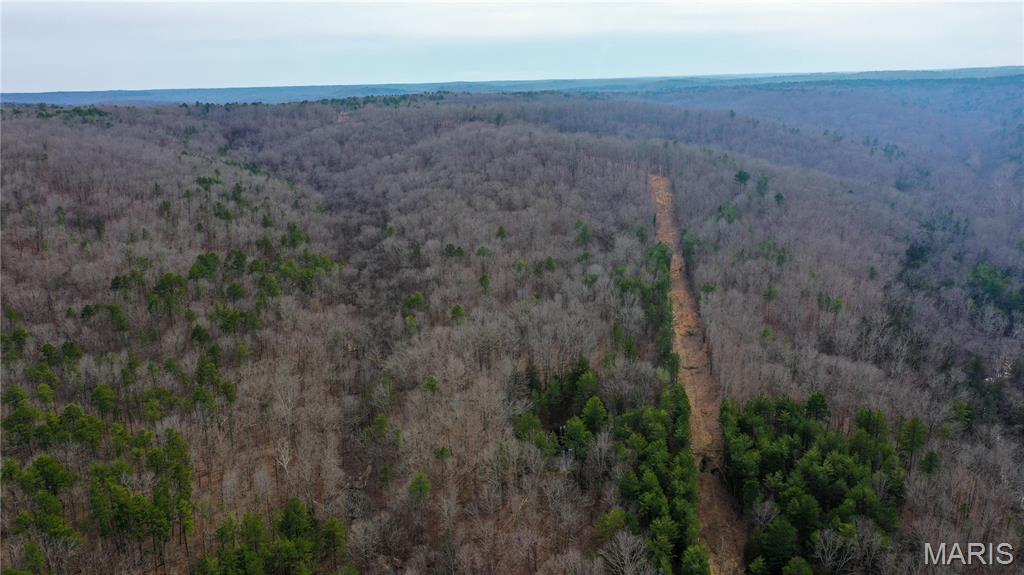 First slide