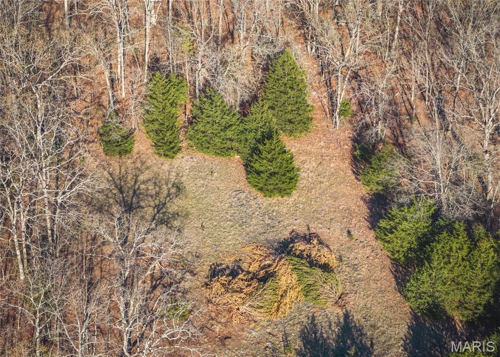 First slide