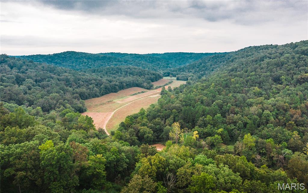 32315 County Road 325, Eminence, MO, 65466