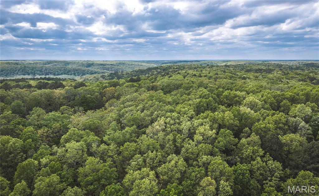 First slide