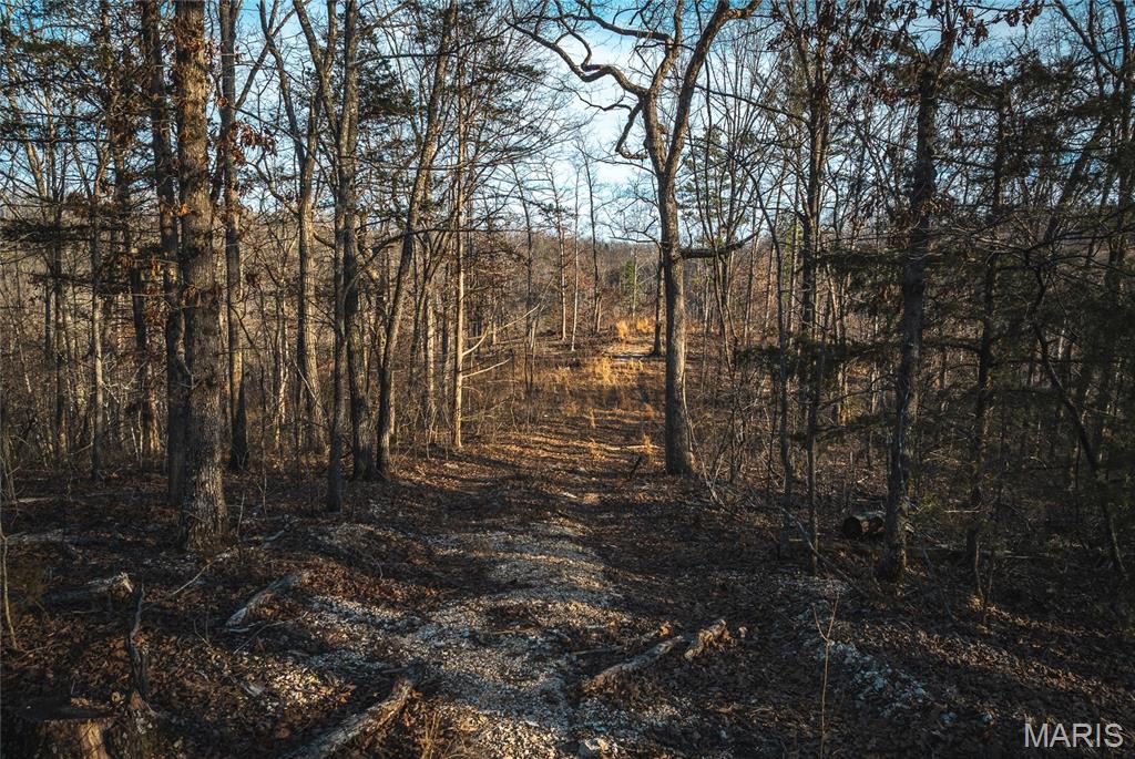 First slide