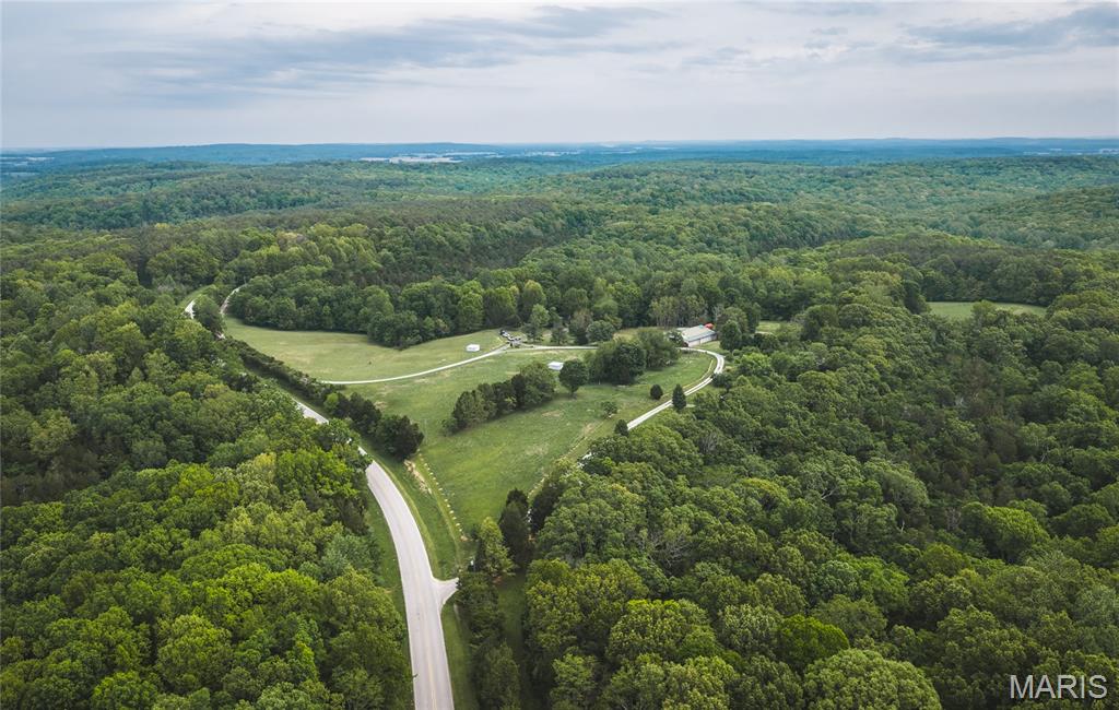 First slide