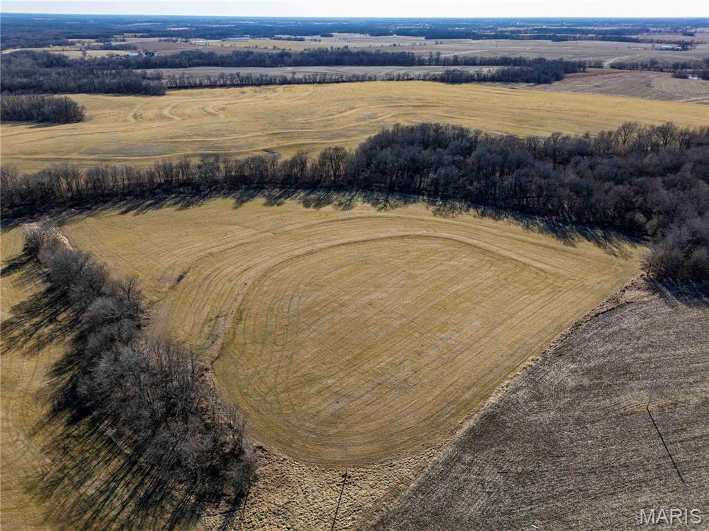 First slide