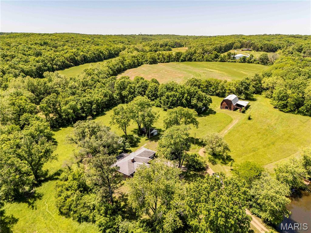 First slide