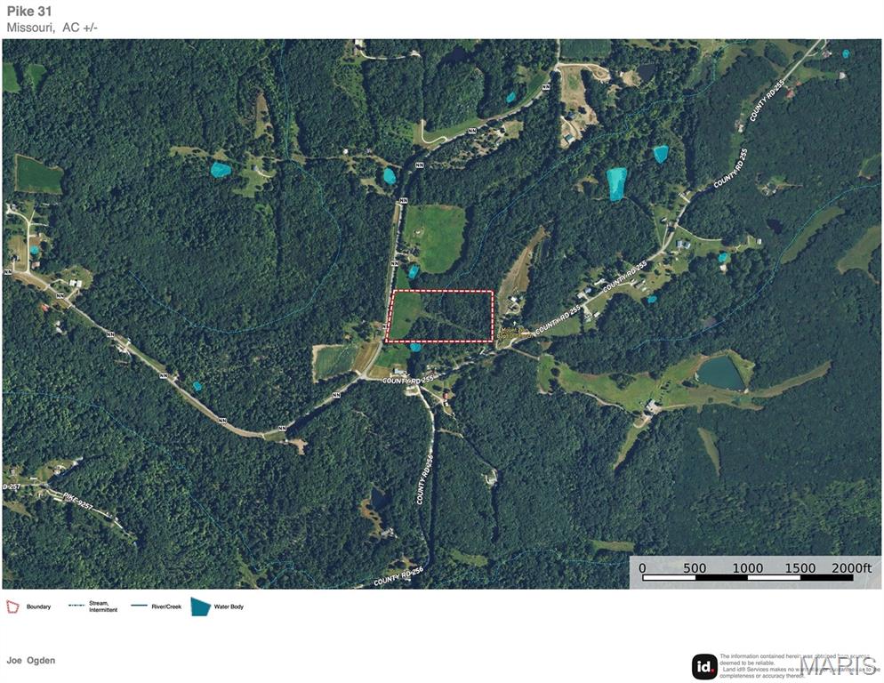 First slide