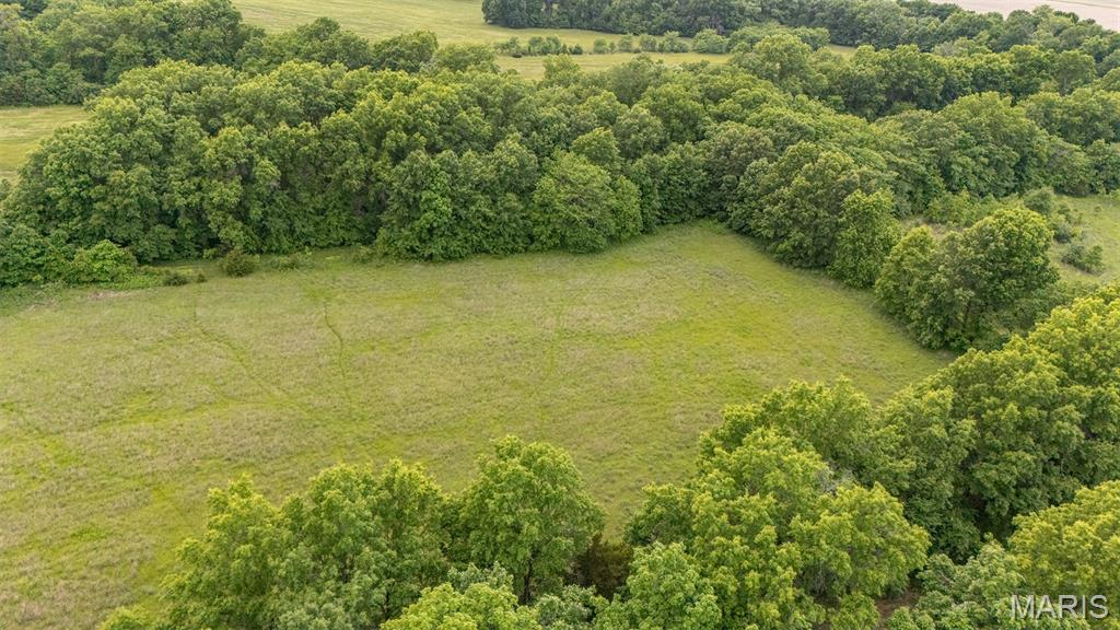 First slide