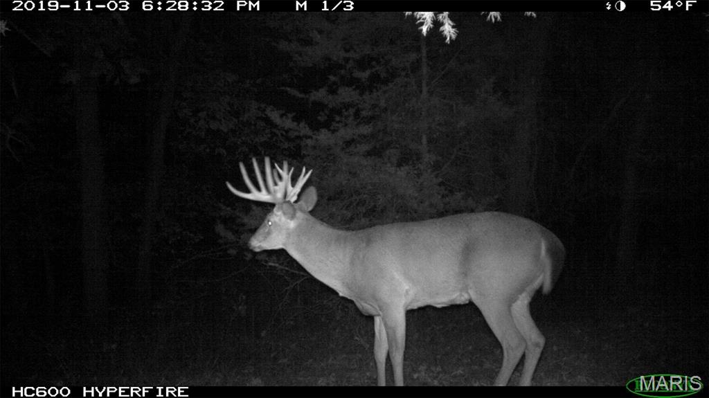 First slide