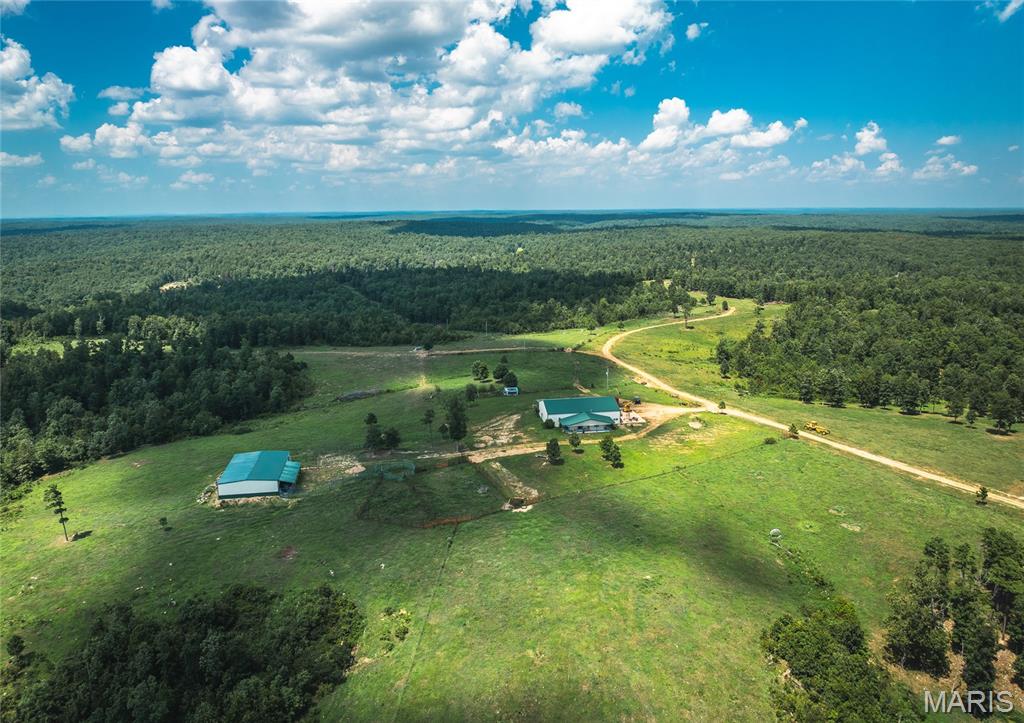 First slide