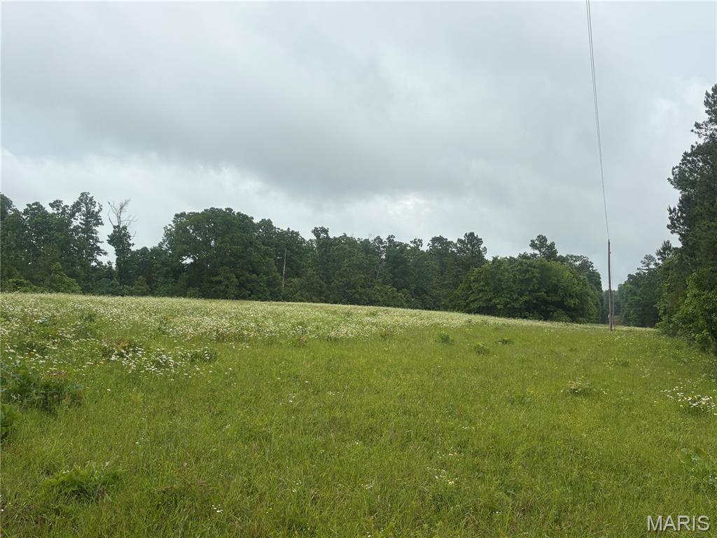 First slide