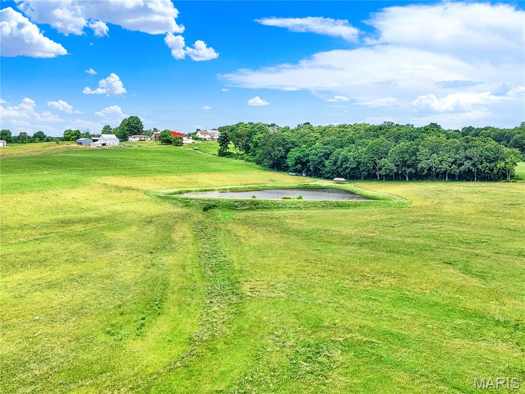 First slide