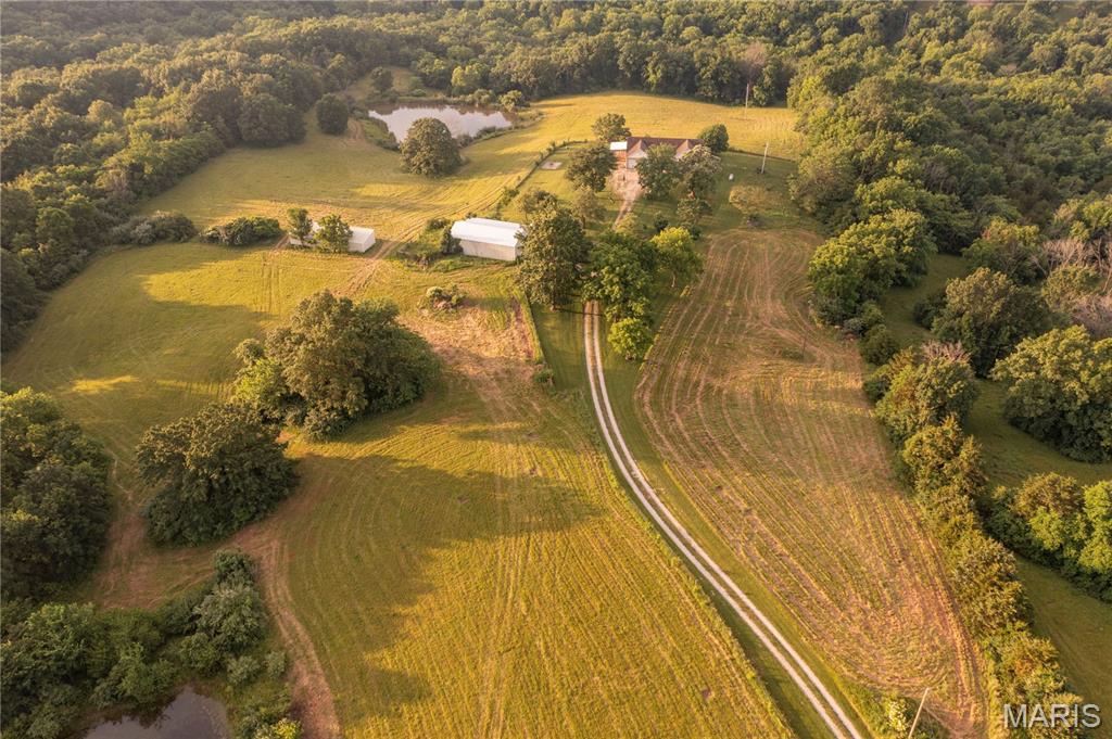 First slide