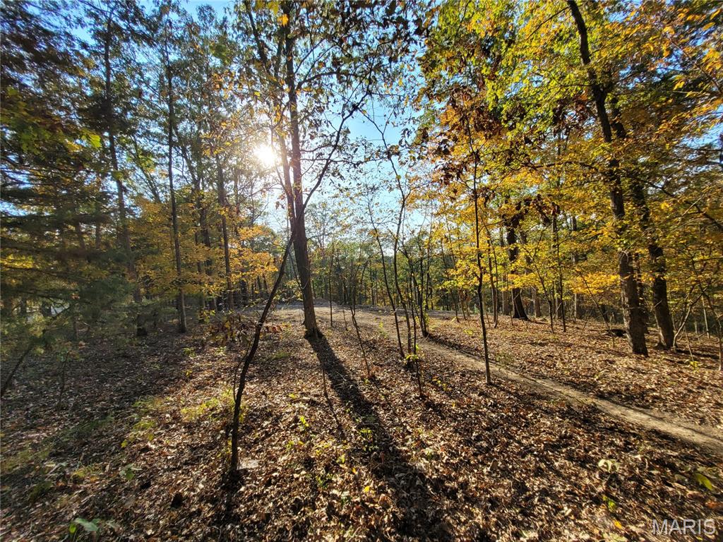 First slide