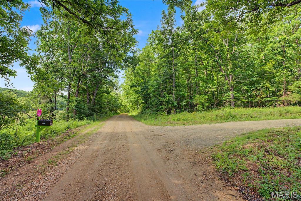 First slide
