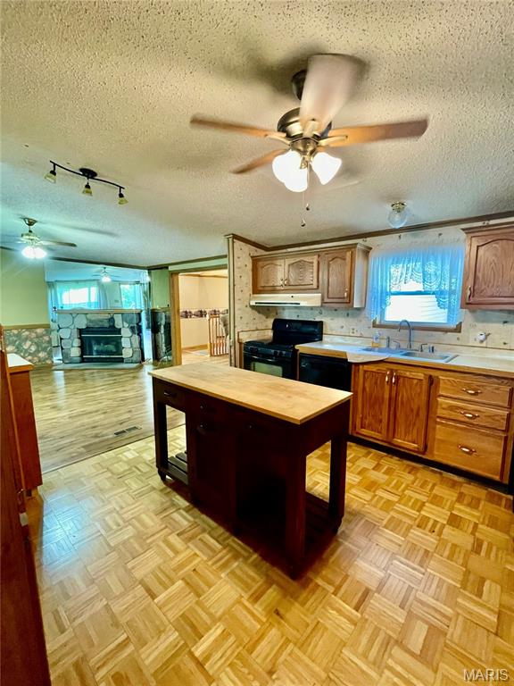 First slide