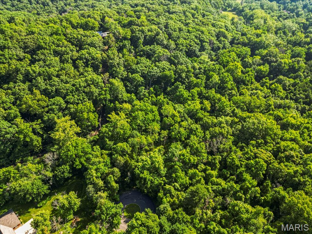 First slide
