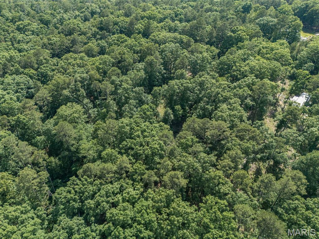 First slide