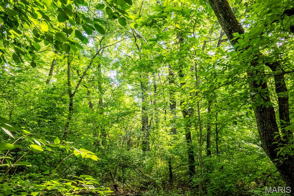 First slide