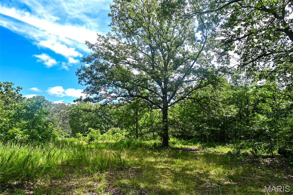 5760 NE 817 Private Road, Osceola, MO, 64776