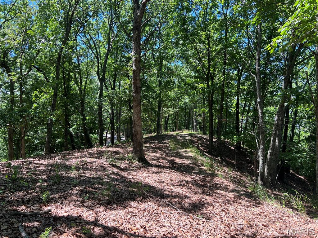First slide